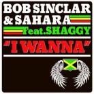 2010 nyarának egy ujabb slágere! Bob Sinclar ft. Sahara ft. Shaggy - I Wanna! (klippel)