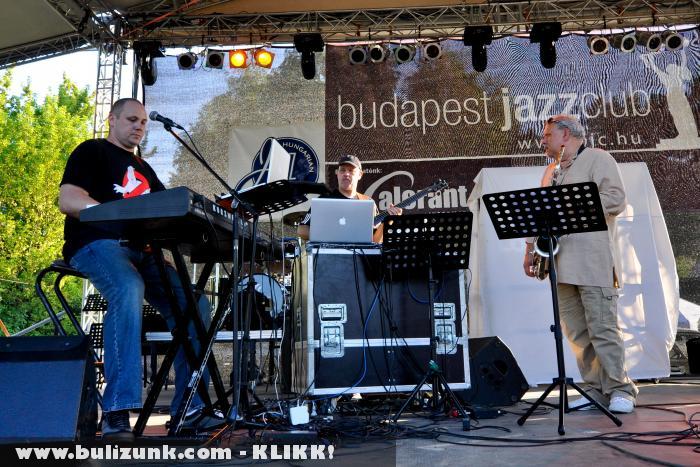 II. Magyar Jazz Napja a 2010-es SZIGET-en