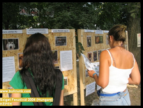 sziget2004-466.jpg