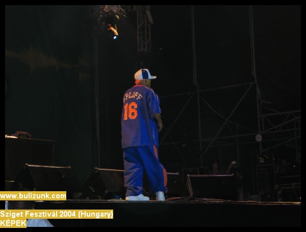 sziget2004-841.jpg