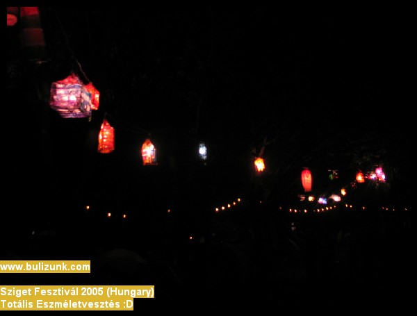 sziget2005bulizunk-com016.jpg