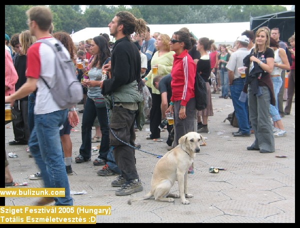 sziget2005bulizunk-com181.jpg